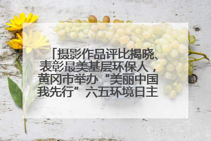 摄影作品评比揭晓、表彰最美基层环保人，黄冈市举办“美丽中国我先行”六五环境日主题宣传活动