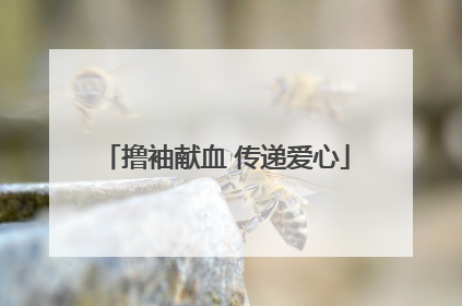 撸袖献血 传递爱心