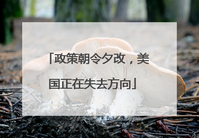 政策朝令夕改，美国正在失去方向