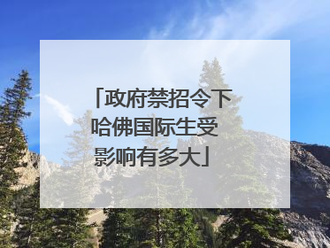 政府禁招令下 哈佛国际生受影响有多大