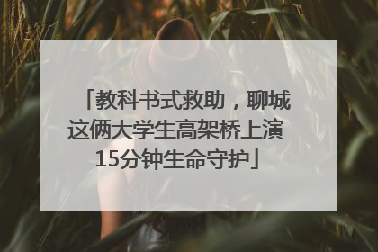 教科书式救助，聊城这俩大学生高架桥上演15分钟生命守护