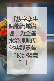 数字孪生赋能流域治理，为全省水治理现代化实践贡献“长沙智慧”