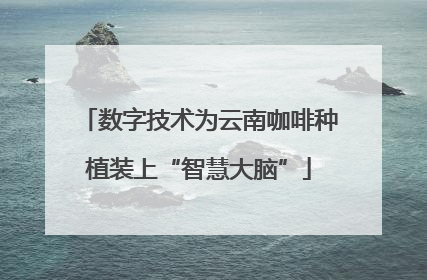 数字技术为云南咖啡种植装上“智慧大脑”