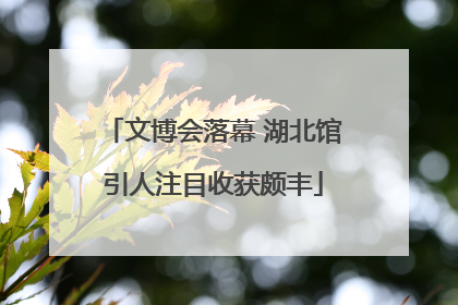 文博会落幕 湖北馆引人注目收获颇丰