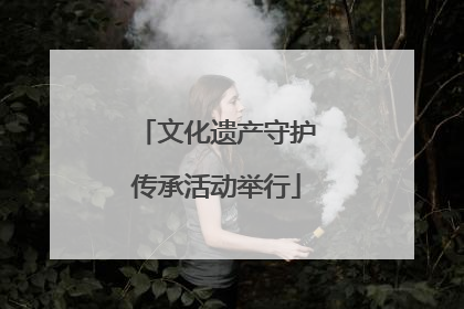文化遗产守护传承活动举行