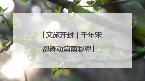 文旅开封｜千年宋都舞动滇南彩翼