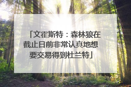 文霍斯特：森林狼在截止日前非常认真地想要交易得到杜兰特