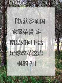 斩获多项国家级荣誉 定南是如何下活足球改革这盘棋的？