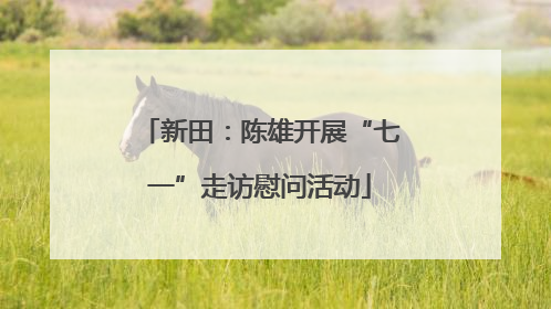 新田：陈雄开展“七一”走访慰问活动