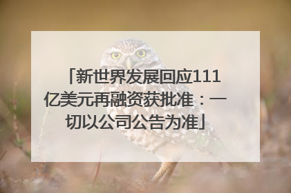新世界发展回应111亿美元再融资获批准：一切以公司公告为准