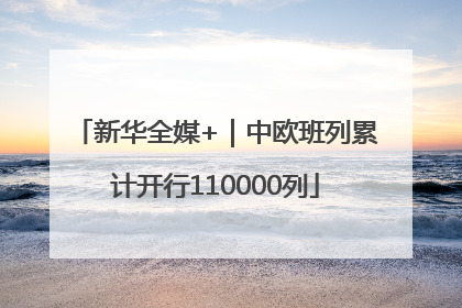新华全媒+｜中欧班列累计开行110000列