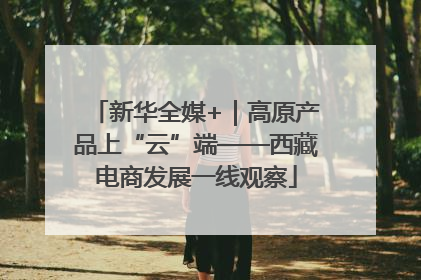 新华全媒+｜高原产品上“云”端——西藏电商发展一线观察