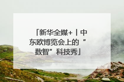 新华全媒+丨中东欧博览会上的“数智”科技秀