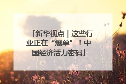 新华视点｜这些行业正在“爆单”！中国经济活力密码