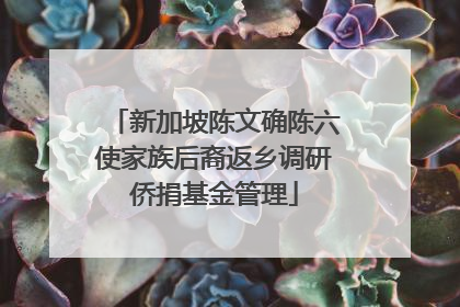 新加坡陈文确陈六使家族后裔返乡调研侨捐基金管理