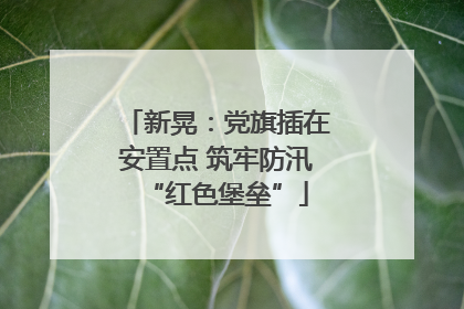 新晃：党旗插在安置点 筑牢防汛“红色堡垒”