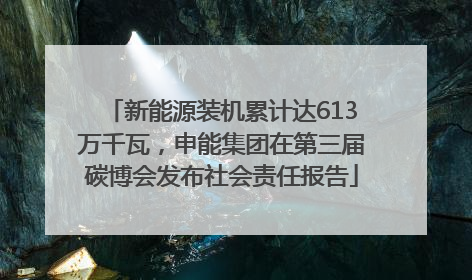 新能源装机累计达613万千瓦，申能集团在第三届碳博会发布社会责任报告
