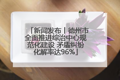 新闻发布丨德州市全面推进综治中心规范化建设 矛盾纠纷化解率达96%