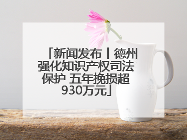 新闻发布丨德州强化知识产权司法保护 五年挽损超930万元