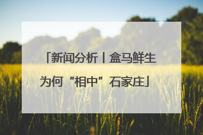 新闻分析丨盒马鲜生为何“相中”石家庄