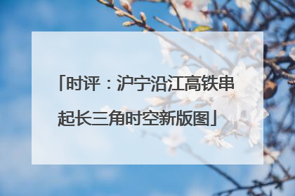 时评：沪宁沿江高铁串起长三角时空新版图