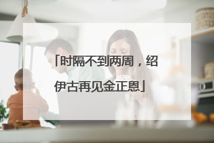时隔不到两周，绍伊古再见金正恩
