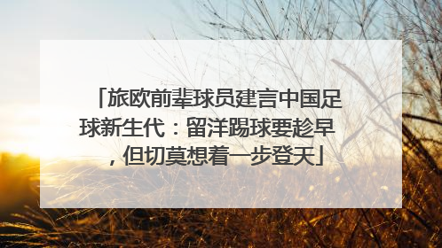 旅欧前辈球员建言中国足球新生代：留洋踢球要趁早，但切莫想着一步登天