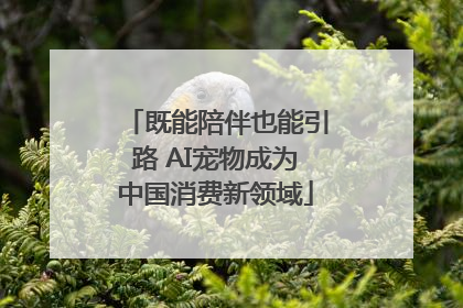 既能陪伴也能引路 AI宠物成为中国消费新领域