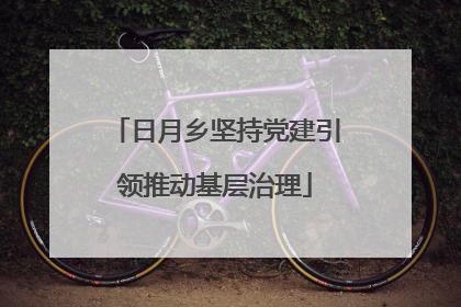 日月乡坚持党建引领推动基层治理