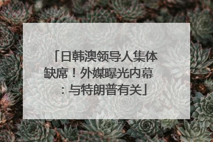 日韩澳领导人集体缺席！外媒曝光内幕：与特朗普有关