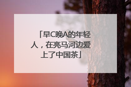 早C晚A的年轻人，在亮马河边爱上了中国茶