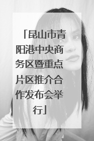 昆山市青阳港中央商务区暨重点片区推介合作发布会举行