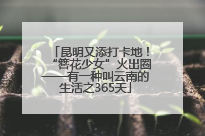 昆明又添打卡地！“簪花少女”火出圈——有一种叫云南的生活之365天