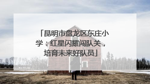 昆明市盘龙区东庄小学：红星闪耀闯队关，培育未来好队员