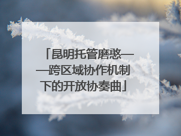 昆明托管磨憨——跨区域协作机制下的开放协奏曲