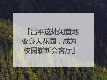 昌平这处闲置地变身大花园，成为校园崭新会客厅