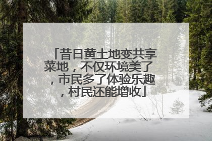昔日黄土地变共享菜地，不仅环境美了，市民多了体验乐趣，村民还能增收