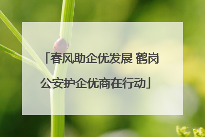 春风助企优发展 鹤岗公安护企优商在行动