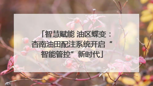 智慧赋能 油区蝶变：杏南油田配注系统开启“智能管控”新时代