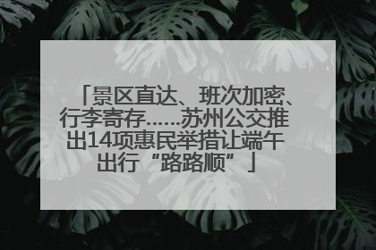 景区直达、班次加密、行李寄存……苏州公交推出14项惠民举措让端午出行“路路顺”