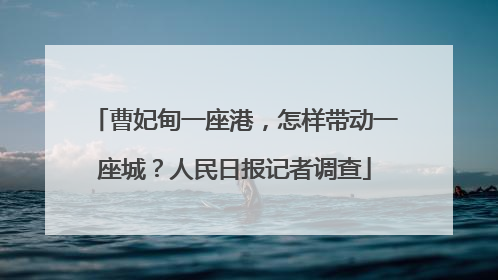 曹妃甸一座港，怎样带动一座城？人民日报记者调查