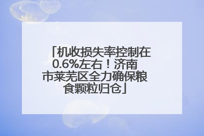 机收损失率控制在0.6%左右！济南市莱芜区全力确保粮食颗粒归仓