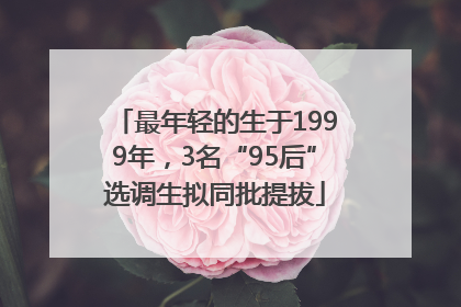 最年轻的生于1999年，3名“95后”选调生拟同批提拔
