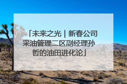 未来之光｜新春公司采油管理二区副经理孙哲的油田进化论