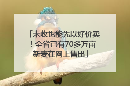 未收也能先以好价卖！全省已有70多万亩新麦在网上售出