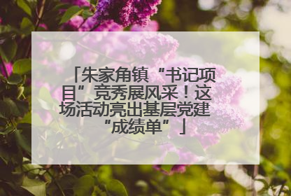 朱家角镇“书记项目”竞秀展风采！这场活动亮出基层党建“成绩单”