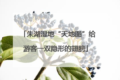 朱湖湿地“天地图”给游客一双隐形的翅膀