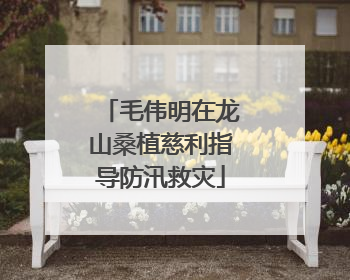 毛伟明在龙山桑植慈利指导防汛救灾