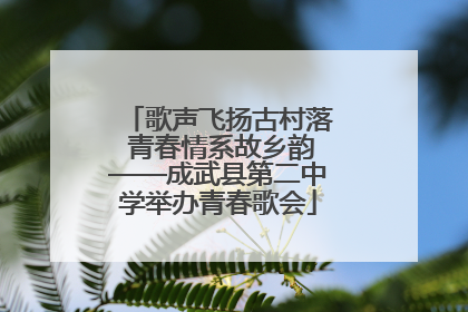 歌声飞扬古村落 青春情系故乡韵——成武县第二中学举办青春歌会