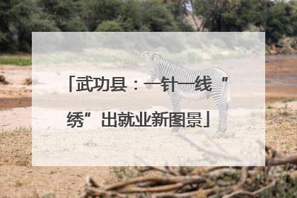 武功县：一针一线“绣”出就业新图景